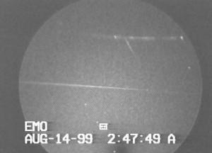 Intensified Perseid Video Spectrum