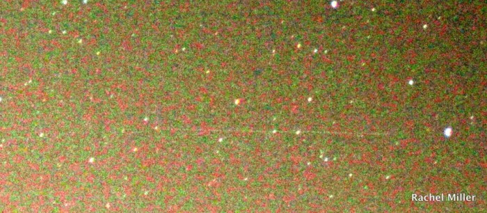 Credit Rachel Miller